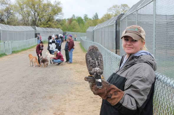 Samantha (Sam) Troff, Minnesota, Death- Minnesota | Wildlife Scientist and Raptor Conservationist Remembered After Tragic Accident